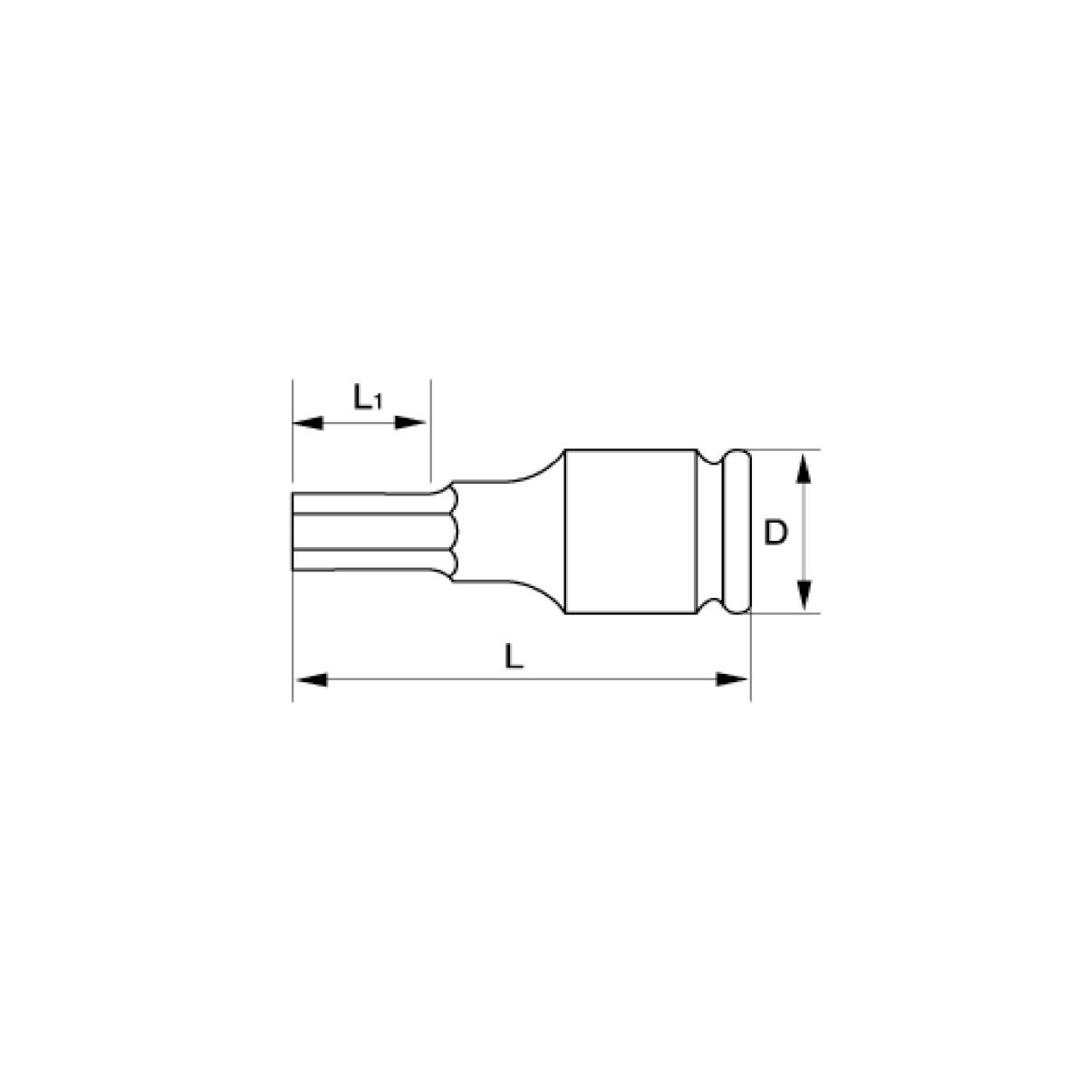 pilses_prod_4