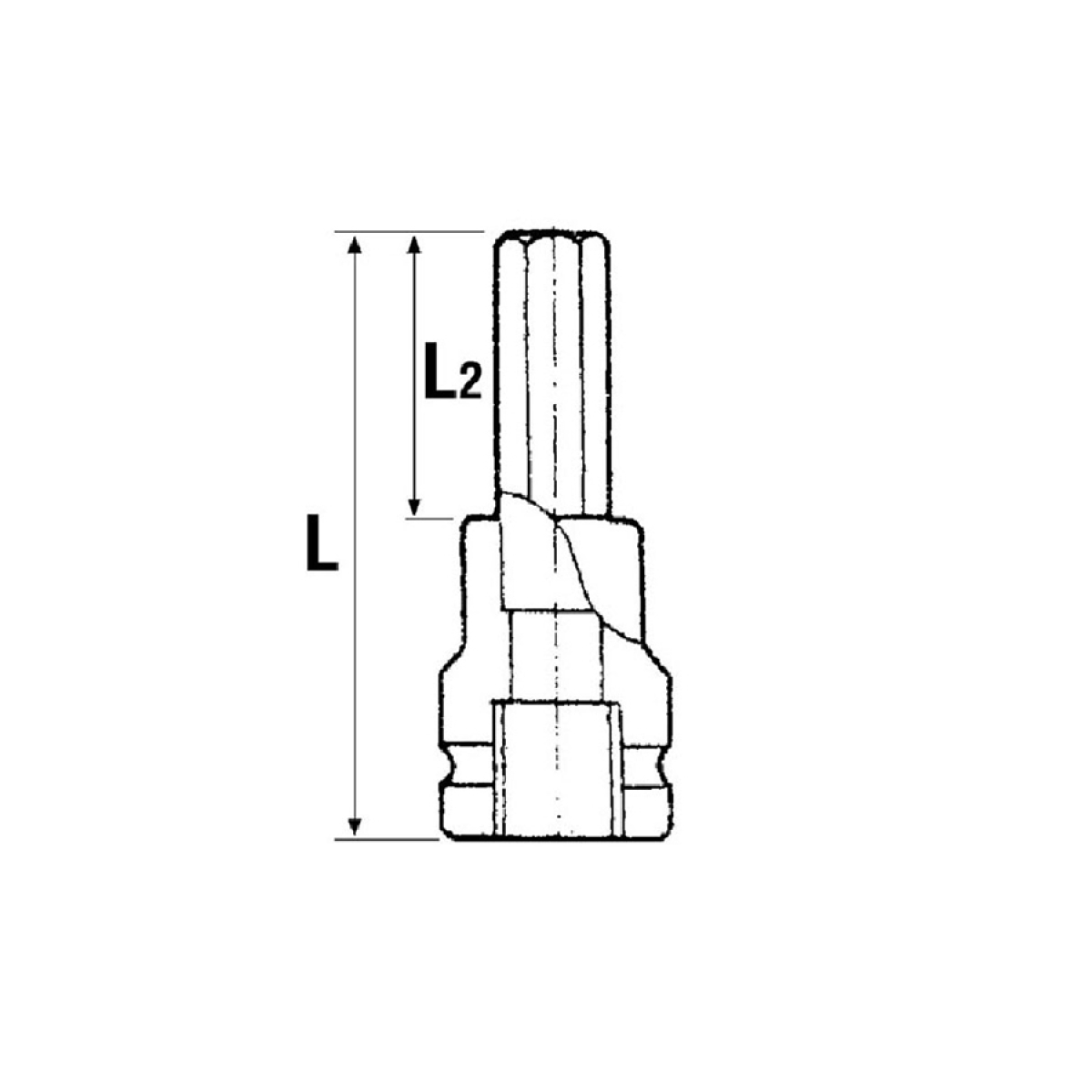 pilses_prod_2