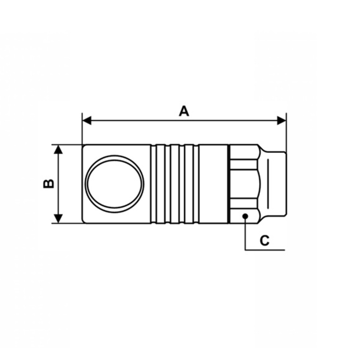 pilses_prod_2