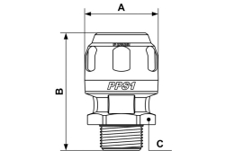pilses_2
